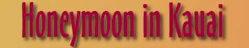 honeymoon banner